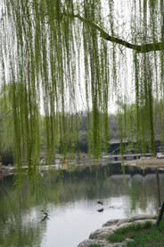 公园风景  