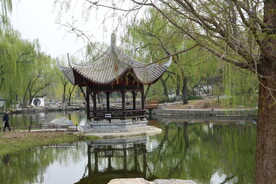 公园风景 