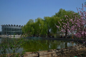 公园风景