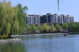 公园风景 