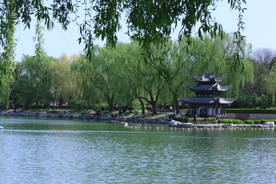 公园风景  