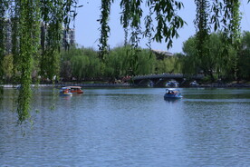 公园风景  