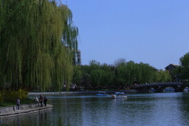 公园风景 