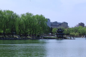 公园风景  