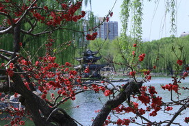 公园风景 