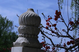 公园风景  