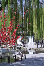 公园风景  