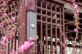国风 社区一角 春花景秀