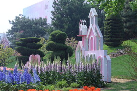 公园风景
