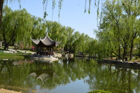 公园风景