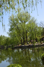 公园风景