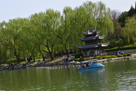 公园风景