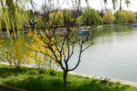 公园风景 