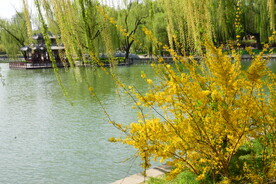 公园风景   