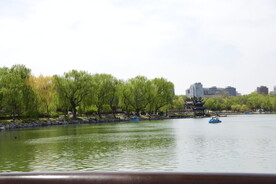 公园风景   