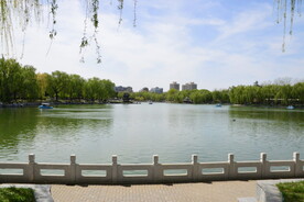 公园风景