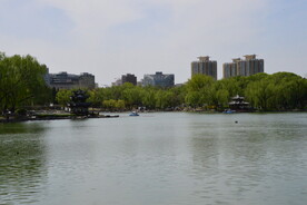公园风景   