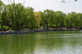 公园风景 