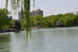 公园风景 