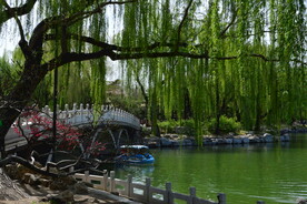 公园风景