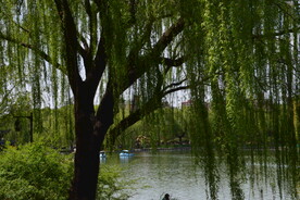 公园风景 