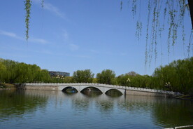 公园风景 