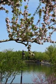 公园风景  