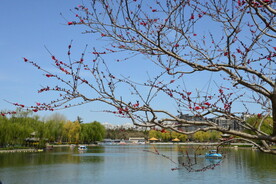 公园风景  