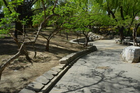 公园风景