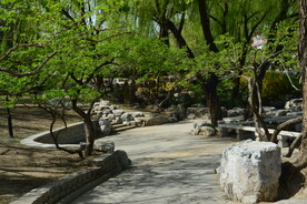 公园风景  