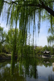 公园风景 