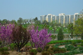公园风景 