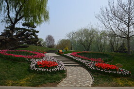 公园风景  