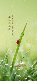 谷雨