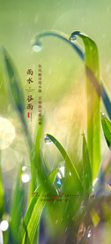 谷雨