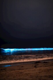 夜色中的海景