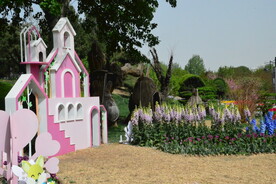 公园风景   