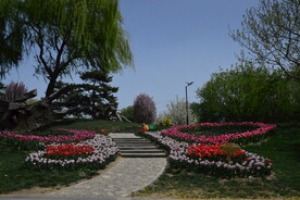 公园风景 