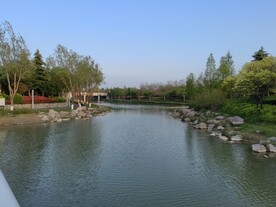 湿地公园水系