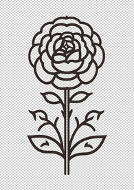 花纹