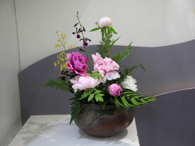 牡丹花