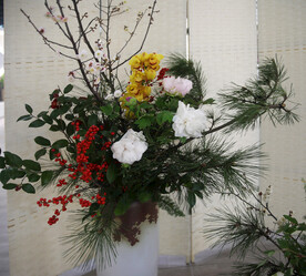 牡丹花