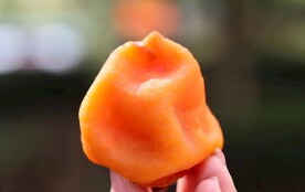 鲜柿饼 