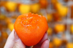 鲜柿饼 