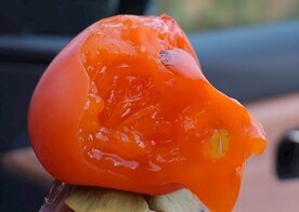 鲜柿饼