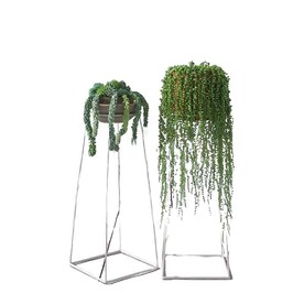 C4D模型 绿色植物