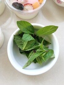 薄荷 