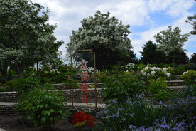 公园风景 