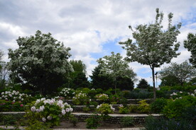 公园风景 