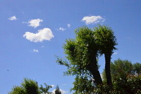 公园风景  
